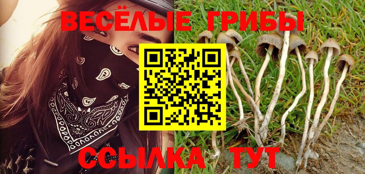 Псилоцибиновые грибы ЛСД  закладка  Каспийск  Вход с VPN 